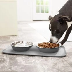 Frisco Heavy Duty Non-Skid Silicone Diner -Paws Joy Outlet Store 215979 PT6. AC SS1800 V1599089765