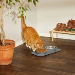 Frisco Heavy Duty Non-Skid Silicone Diner -Paws Joy Outlet Store 215979 PT7. AC SS1800 V1599090986