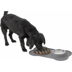 Frisco Silicone Slow Feeder Mat With Stainless Steel Bowl -Paws Joy Outlet Store 215983 PT5. AC SS1800 V1605666752