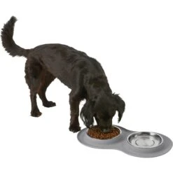 Frisco Double Stainless Steel Pet Bowl With Silicone Mat 13 Frisco Double Stainless Steel Pet Bowl With Silicone Mat -Paws Joy Outlet Store 215986 PT5. AC SS1800 V1605652436