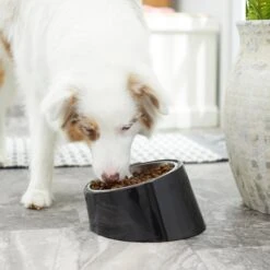 Frisco Stainless Steel Bowl With Elevated Stand 13 Frisco Stainless Steel Bowl With Elevated Stand -Paws Joy Outlet Store 216020 PT7. AC SS1800 V1605662208