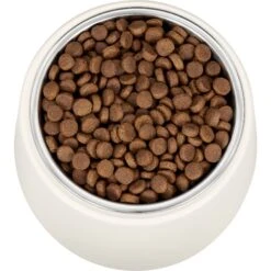 Frisco Slanted Stainless Steel Bowl -Paws Joy Outlet Store 216028 PT4. AC SS1800 V1591020437