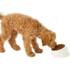 Frisco Slanted Stainless Steel Bowl -Paws Joy Outlet Store 216028 PT6. AC SS1800 V1605666119