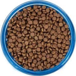 Frisco Chevron Design Glass Bowl With Silicone Sleeve -Paws Joy Outlet Store 216049 PT4. AC SS1800 V1591020735