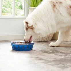 Frisco Chevron Design Glass Bowl With Silicone Sleeve -Paws Joy Outlet Store 216049 PT7. AC SS1800 V1605664319