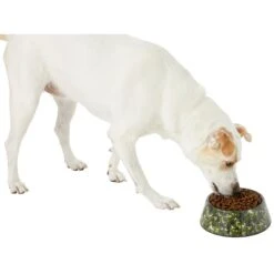 Frisco Camo Paint Splashed Melamine Bowl -Paws Joy Outlet Store 216066 PT6. AC SS1800 V1605666935