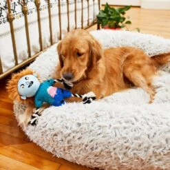 Frisco Zombie Boy Plush With Rope Squeaky Dog Toy -Paws Joy Outlet Store 218569 PT6. AC SS1800 V1597599376