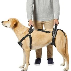 Frisco Front & Rear Lift Handicapped Support Dog Harness -Paws Joy Outlet Store 220372 PT5. AC SS1800 V1605749597