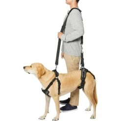 Frisco Front & Rear Lift Handicapped Support Dog Harness -Paws Joy Outlet Store 220372 PT6. AC SS1800 V1605758261
