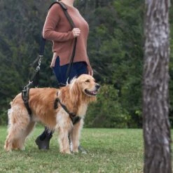 Frisco Front & Rear Lift Handicapped Support Dog Harness -Paws Joy Outlet Store 220372 PT7. AC SS1800 V1605738439
