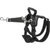 Frisco Rear Lift Handicapped Support Dog Harness