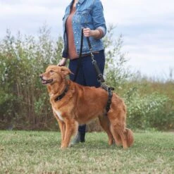 Frisco Rear Lift Handicapped Support Dog Harness -Paws Joy Outlet Store 220374 PT7. AC SS1800 V1605754619