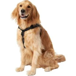 Frisco Nylon Step In Back Clip Dog Harness -Paws Joy Outlet Store 220519 PT2. AC SS1800 V1605591714