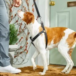 Frisco Nylon Step In Back Clip Dog Harness -Paws Joy Outlet Store 220519 PT4. AC SS1800 V1605582116