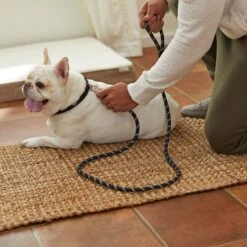 Frisco Reflective Rope Dog Leash -Paws Joy Outlet Store 221214 PT4. AC SS1800 V1602862582