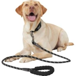 Frisco Rope Dog Leash With Padded Handle -Paws Joy Outlet Store 221218 PT3. AC SS1800 V1701796765