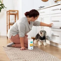 Frisco Vinegar Cleaning Wipes, 70 Count -Paws Joy Outlet Store 222151 PT4. AC SS1800 V1602847932