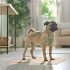 Frisco Large Eco-Conscious Dog Training & Potty Pads -Paws Joy Outlet Store 227438 PT6. AC SS1800 V1674665619