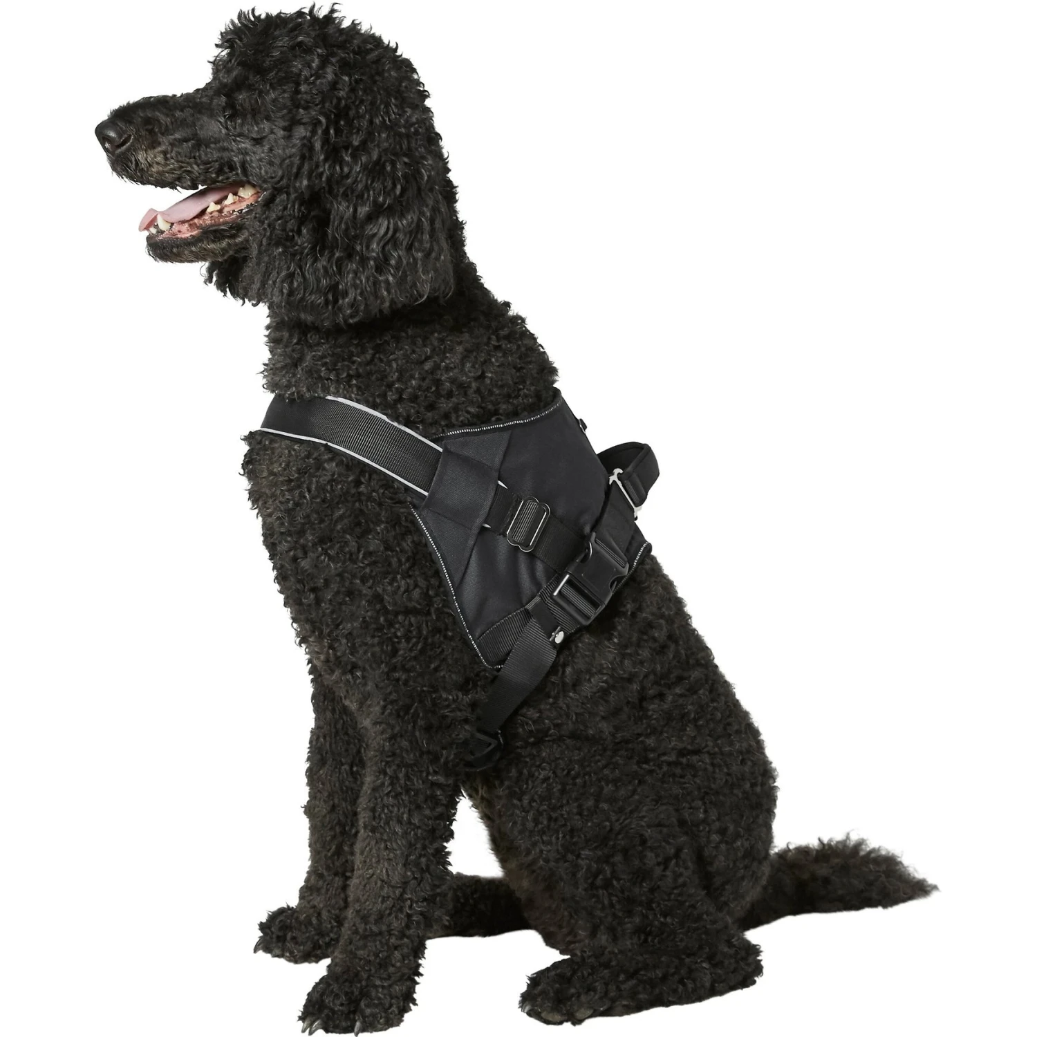 Frisco Big Dog Harness 5 Frisco Big Dog Harness - Image 5