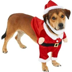 Frisco Front Walking Santa Dog & Cat Costume, 1 Count -Paws Joy Outlet Store 228785 PT3. AC SS1800 V1631300866