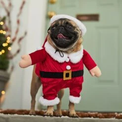 Frisco Front Walking Santa Dog & Cat Costume, 1 Count -Paws Joy Outlet Store 228785 PT7. AC SS1800 V1601560869