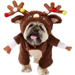 Frisco Front Walking Reindeer Dog & Cat Costume, 1 Count -Paws Joy Outlet Store 228790 PT2. AC SS1800 V1636731101