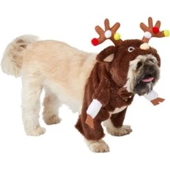 Frisco Front Walking Reindeer Dog & Cat Costume, 1 Count -Paws Joy Outlet Store 228790 PT3. AC SS1800 V1631299657