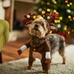 Frisco Front Walking Reindeer Dog & Cat Costume, 1 Count -Paws Joy Outlet Store 228790 PT7. AC SS1800 V1636743685