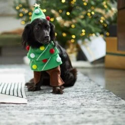 Frisco Front Walking Christmas Tree Dog & Cat Costume 12 Frisco Front Walking Christmas Tree Dog & Cat Costume -Paws Joy Outlet Store 229164 PT7. AC SS1800 V1601385981