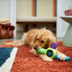 Frisco Retro Whack It! Ballistic Nylon Plush Squeaky Dog Toy -Paws Joy Outlet Store 230302 PT3. AC SS1800 V1601947283