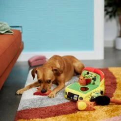 Frisco Retro Smack-a-Squirrel Hide & Seek Puzzle Plush Squeaky Dog Toy -Paws Joy Outlet Store 230313 PT3. AC SS1800 V1601947334