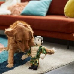 Frisco Retro Camo Hero Muscle Plush Squeaky Dog Toy -Paws Joy Outlet Store 230375 PT3. AC SS1800 V1602639726