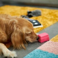 Frisco Retro Funky Van TPE Treat Dispenser Dog Toy, Medium/Large -Paws Joy Outlet Store 230383 PT4. AC SS1800 V1669908614