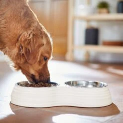 Frisco Stainless Steel Double Dog Bowls With Melamine Stand -Paws Joy Outlet Store 232092 PT7. AC SS1800 V1693015855