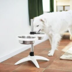 Frisco Adjustable Stainless Steel Double Elevated Dog Bowls 13 Frisco Adjustable Stainless Steel Double Elevated Dog Bowls -Paws Joy Outlet Store 232097 PT8. AC SS1800 V1605740511