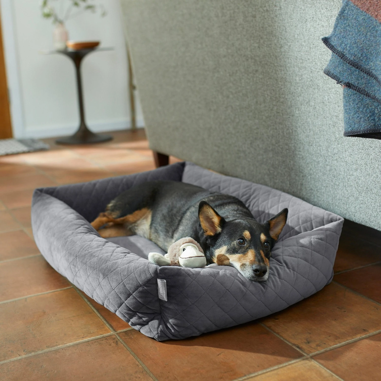 Frisco Velvet Rectangular Bolster Cat & Dog Bed 1 Frisco Velvet Rectangular Bolster Cat & Dog Bed