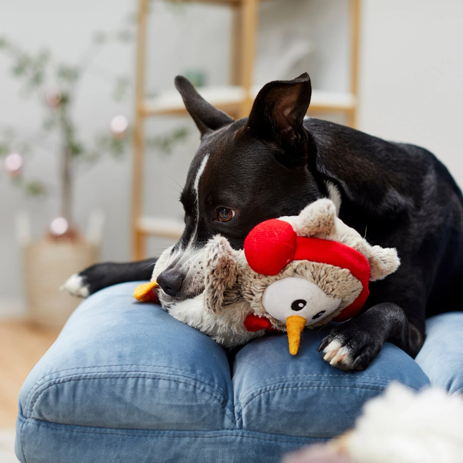 Frisco Holiday Owl Plush Squeaky Dog Toy 3 Frisco Holiday Owl Plush Squeaky Dog Toy - Image 3