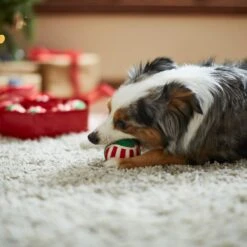 Frisco Holiday Wreath Fetch Squeaky Tennis Ball Dog Toy -Paws Joy Outlet Store 233189 PT3. AC SS1800 V1665759769