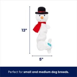 Frisco Holiday Snowman Bungee Plush Squeaky Dog Toy 7 Frisco Holiday Snowman Bungee Plush Squeaky Dog Toy -Paws Joy Outlet Store 233221 PT1. AC SS1800 V1701797064