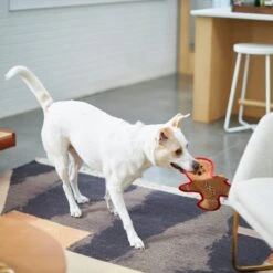 Frisco Holiday Gingerbread Man Flat Plush Squeaky Dog Toy -Paws Joy Outlet Store 233241 PT2. AC SS1800 V1601311903