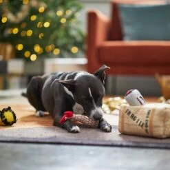 Frisco Holiday Fragile Box Hide & Seek Puzzle Plush Squeaky Dog Toy -Paws Joy Outlet Store 233274 PT4. AC SS1800 V1665759767