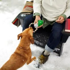 Frisco Holiday Christmas Light Rope With TPR Squeaky Dog Toy -Paws Joy Outlet Store 233278 PT2. AC SS1800 V1601641574