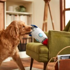 Frisco Ballistic Nylon Plush Squeaky Rocket Ship Dog Toy -Paws Joy Outlet Store 233581 PT3. AC SS1800 V1600973767