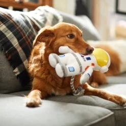 Frisco Ballistic Nylon Plush With Rope Squeaky Astronaut Dog Toy -Paws Joy Outlet Store 233585 PT3. AC SS1800 V1600973761