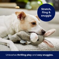 Frisco Bunny Bungee Plush Squeaky Dog Toy -Paws Joy Outlet Store 233612 PT5. AC SS1800 V1691783971