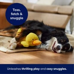 Frisco Duck Plush Squeaky Dog Toy -Paws Joy Outlet Store 233613 PT4. AC SS1800 V1695670688