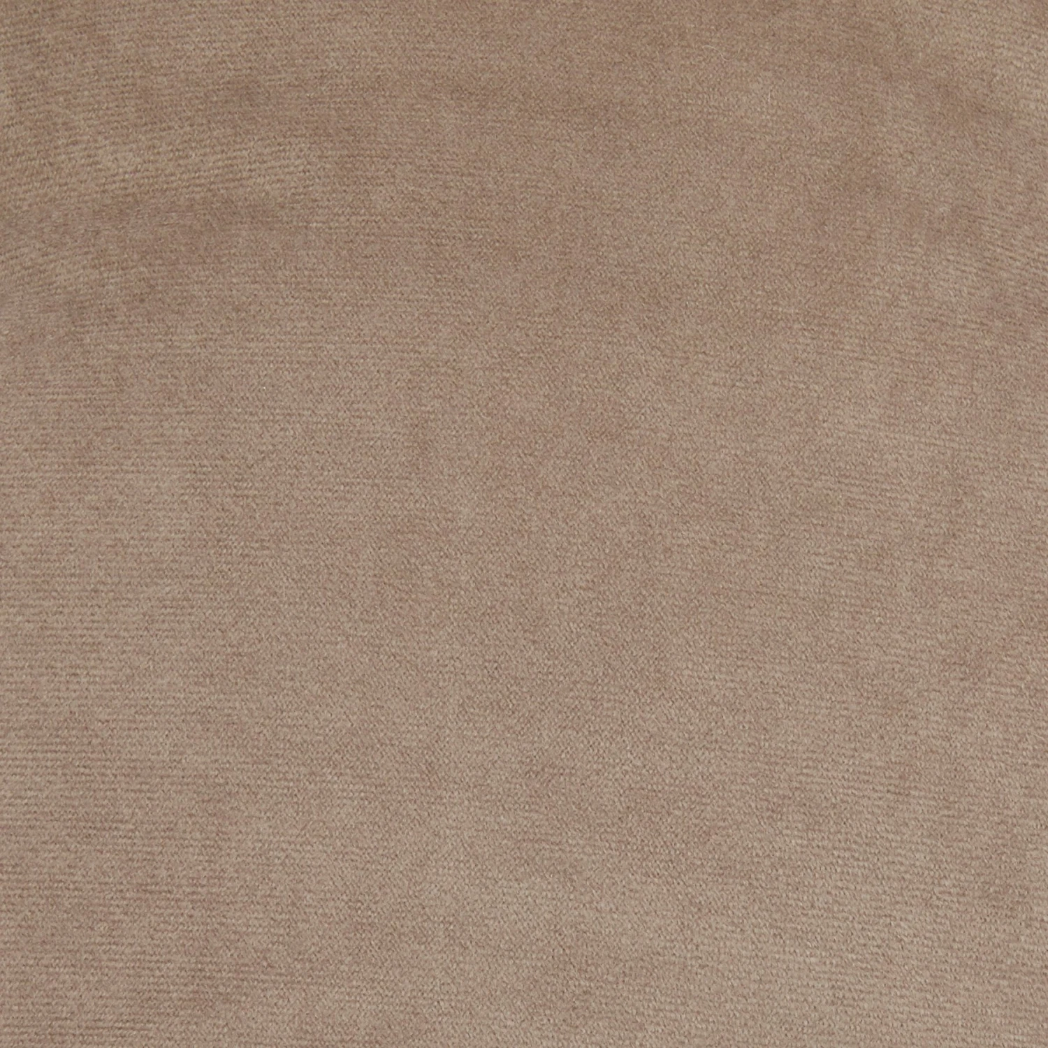 Frisco Rectangular Personalized Bolster Dog Bed W/Removable Cover, Beige, Large 6 Frisco Rectangular Personalized Bolster Dog Bed W/Removable Cover, Beige, Large - Image 6