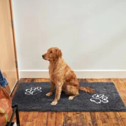 Frisco Microfiber Chenille Paw Print Doormat Runner -Paws Joy Outlet Store 235889 PT6. AC SS1800 V1606833151