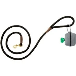 Frisco Dog Poop Bags With Fabric Dispenser 11 Frisco Dog Poop Bags With Fabric Dispenser -Paws Joy Outlet Store 236998 PT4. AC SS1800 V1610773746