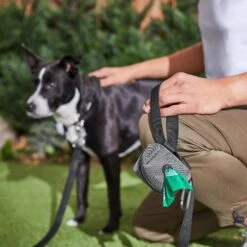 Frisco Dog Poop Bags With Fabric Dispenser 13 Frisco Dog Poop Bags With Fabric Dispenser -Paws Joy Outlet Store 236998 PT6. AC SS1800 V1610772967